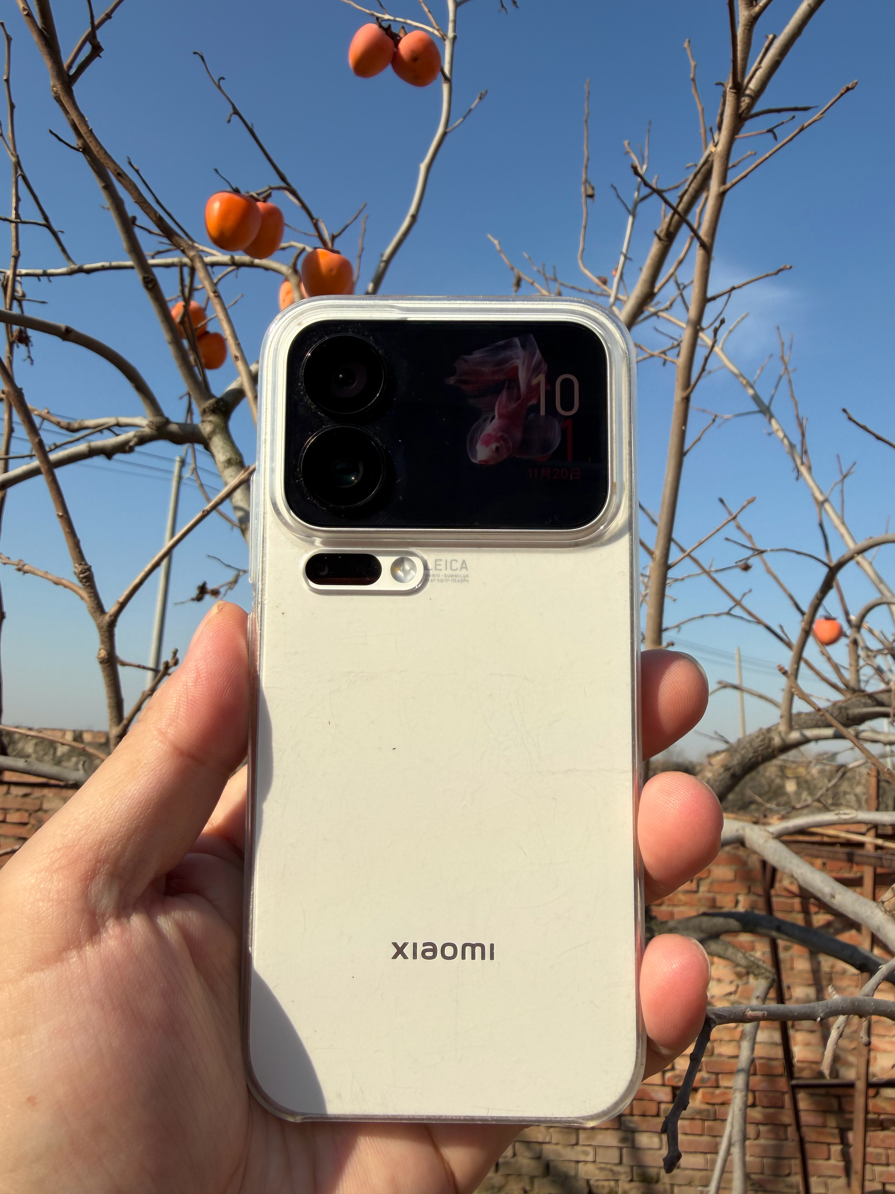 小米 17 Pro 系列，最成功的就是背面有一个屏幕，极具辨识度 