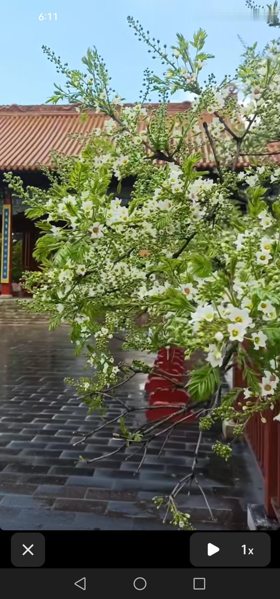 昨天听到我的小学老师离世，心中并无悲伤，反倒有些许愉悦。想起他的种种行径，心中依