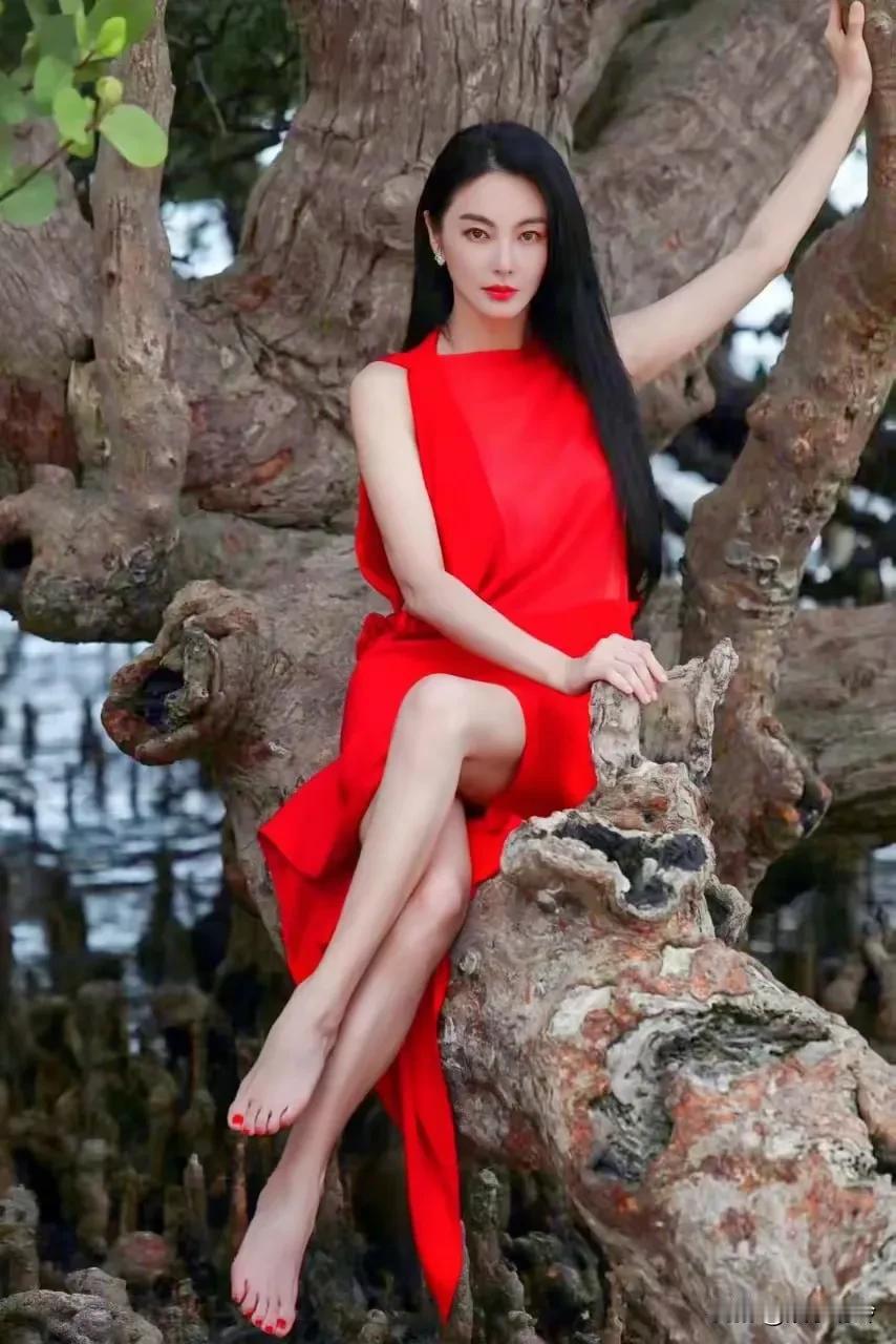 网传张雨绮以后都上不了节目了，不确定真假，但即使为真也很正常，张雨绮现在正是风口