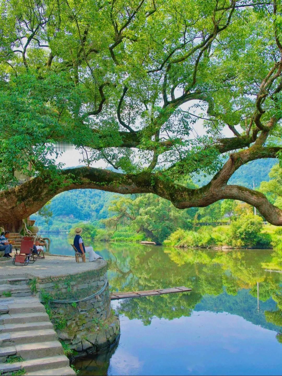 这一站，
走进初秋的婺源
这里好像一首朦胧的小诗
晒秋、小桥、村落、炊烟
一步一