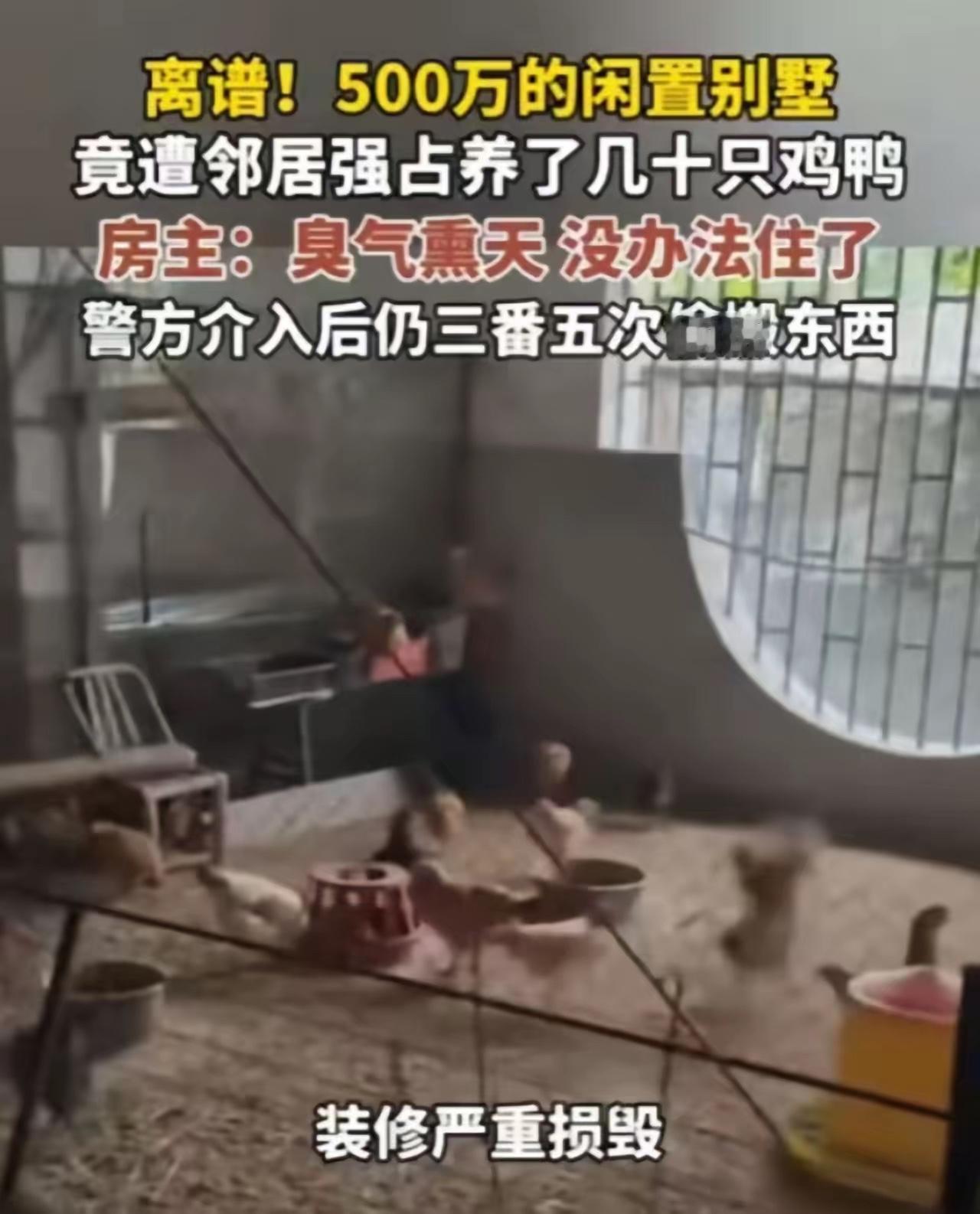 脸都不要了！福建男子回老家祭祖，撞见闲置别墅被邻居改成鸡舍，当场气到报警，这操作