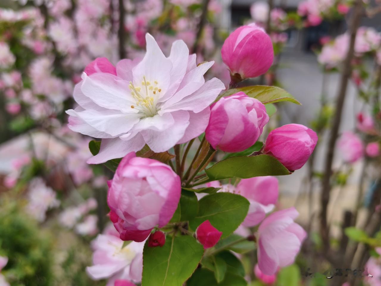 初心易得，始终难守
       再远的路，走着走着也就近了；再难的事，做着做着