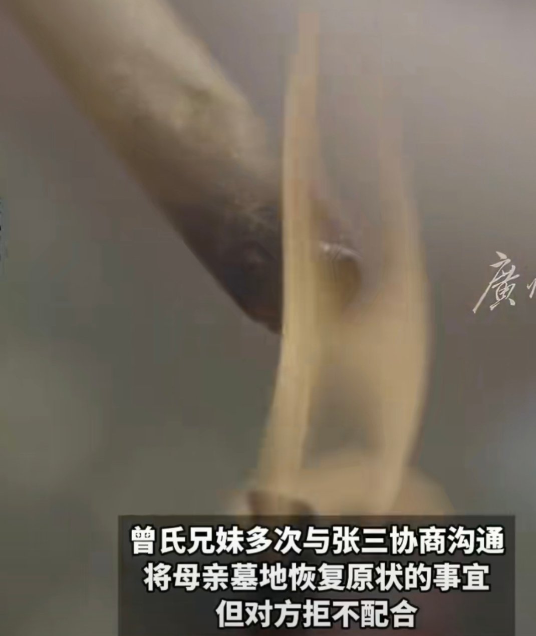 清明上山扫墓却发现母亲的墓不见了天啊，还有这操作？？？连人家坟都敢随便挖，没有敬