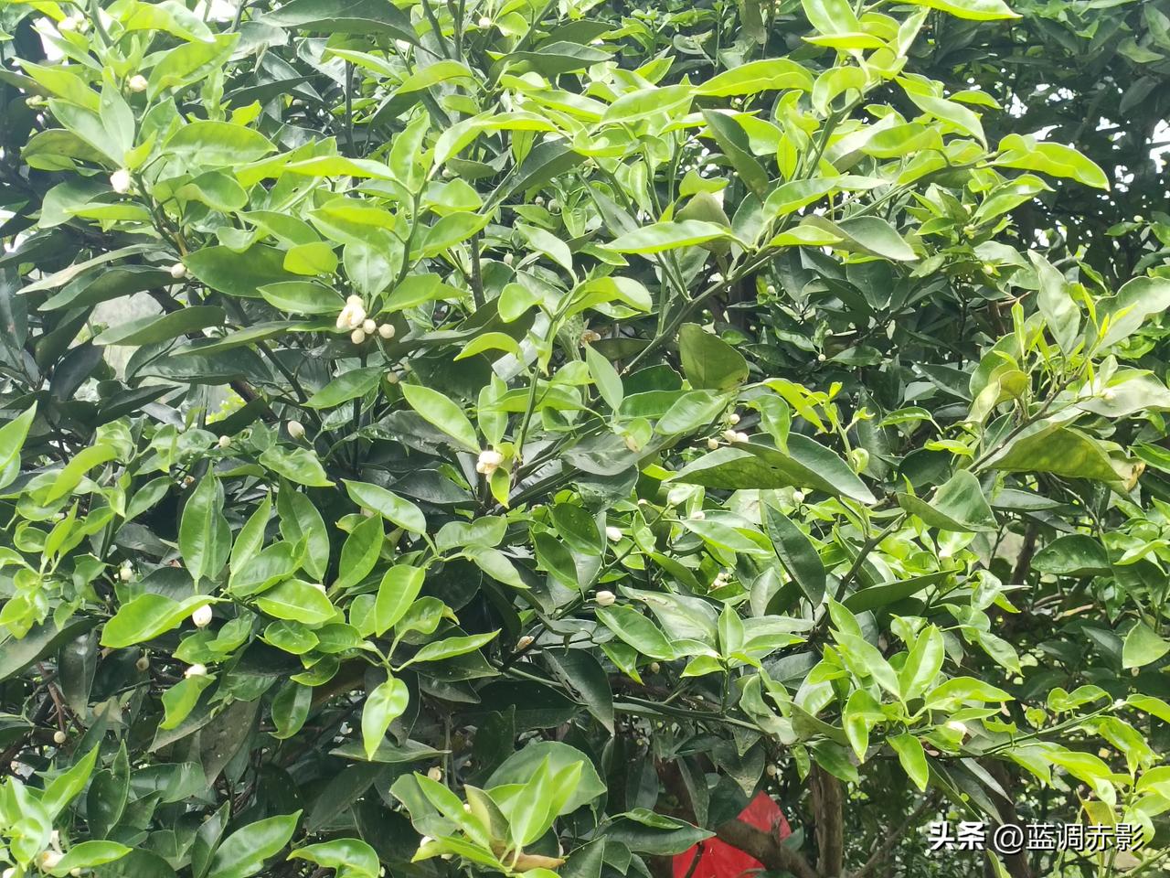 春日生活打卡季