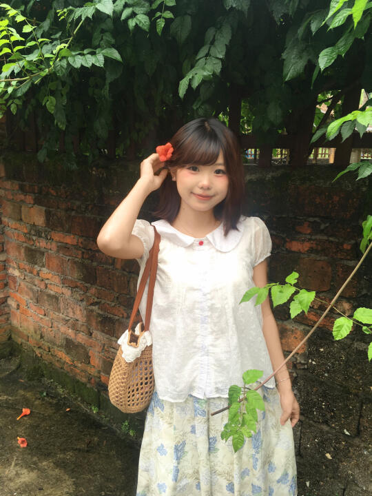 凌霄花🌺