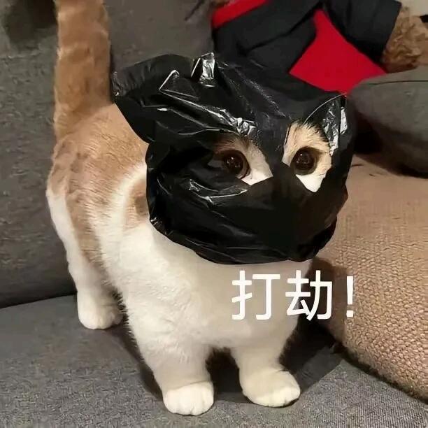 超超超爱用的可爱猫猫表情包！！|||可爱人用可爱表情包！！快来换表情包啦[亲亲]