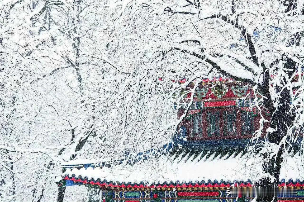 金陵雪落，邂逅一场千年诗意
 
一下雪，南京就成了金陵。雪天的南京，像是被岁月按