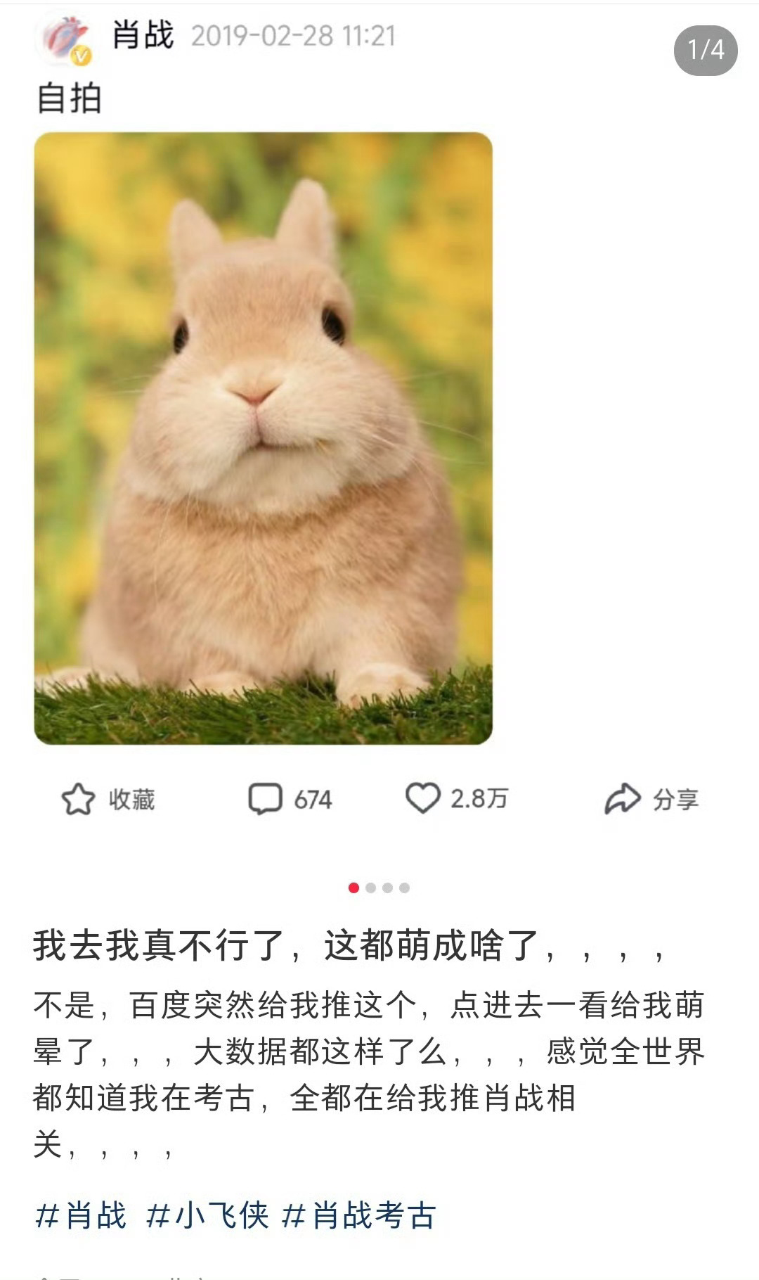 萌成啥了 