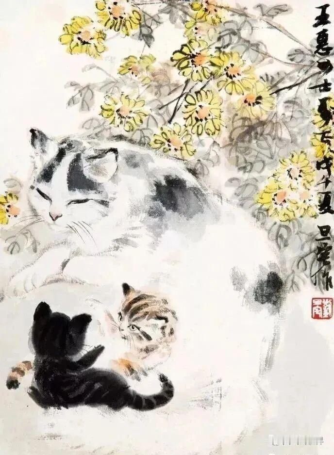每日随手拍张照