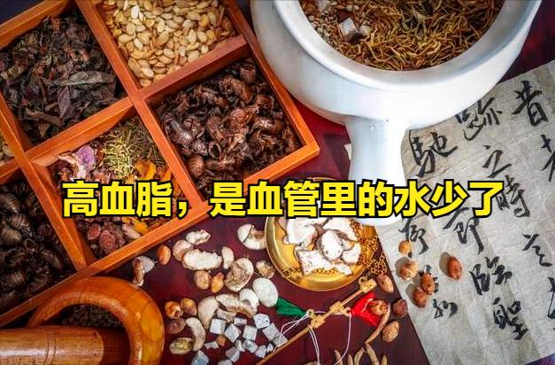 高血脂，是血管里的水少了，失眠胸闷腿无力，补水活血就够了
 
为什么说高血脂就是