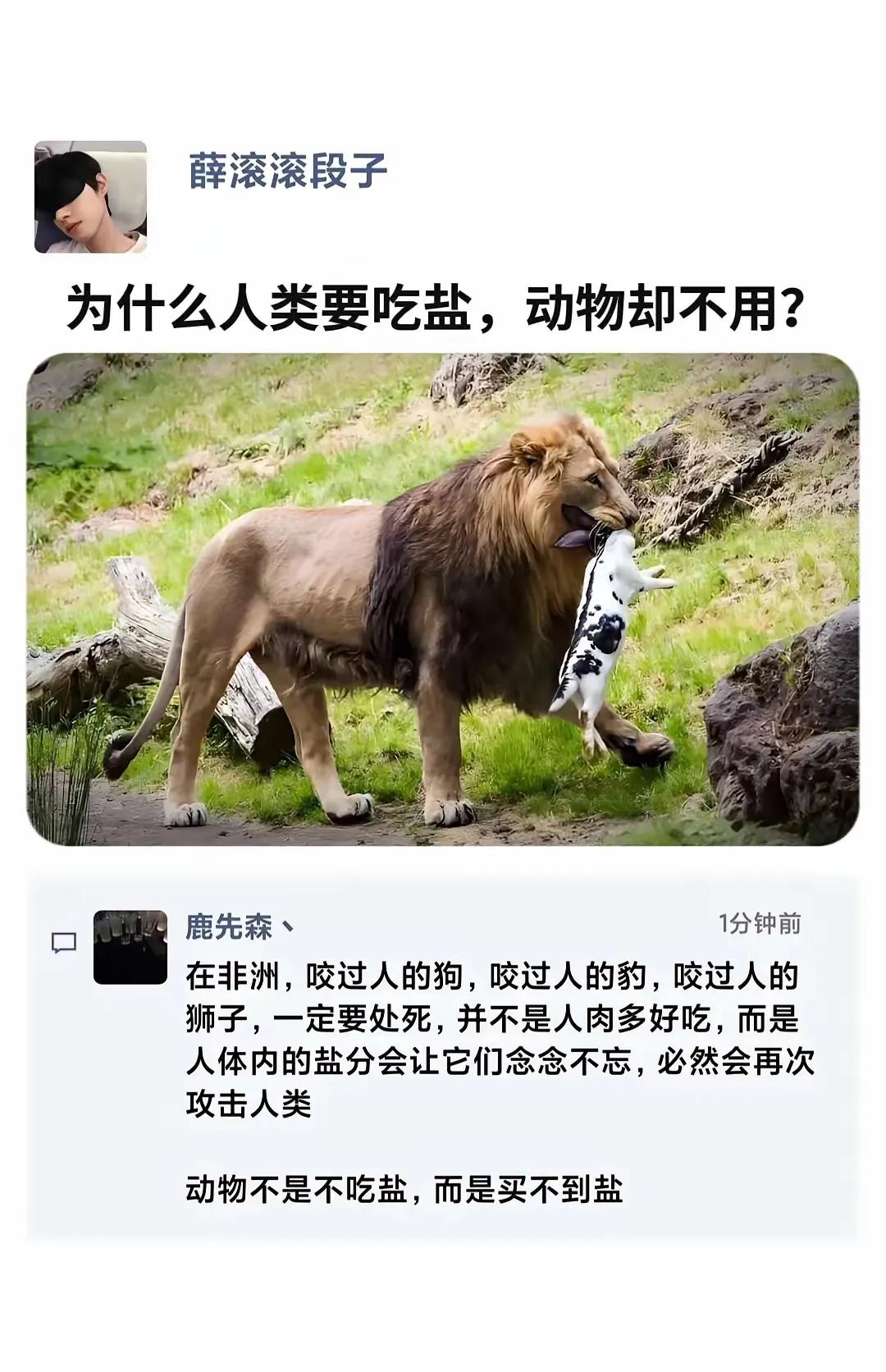人与动物的不同，人类可以自己制造盐，动物不能。

#自然界是残酷的#