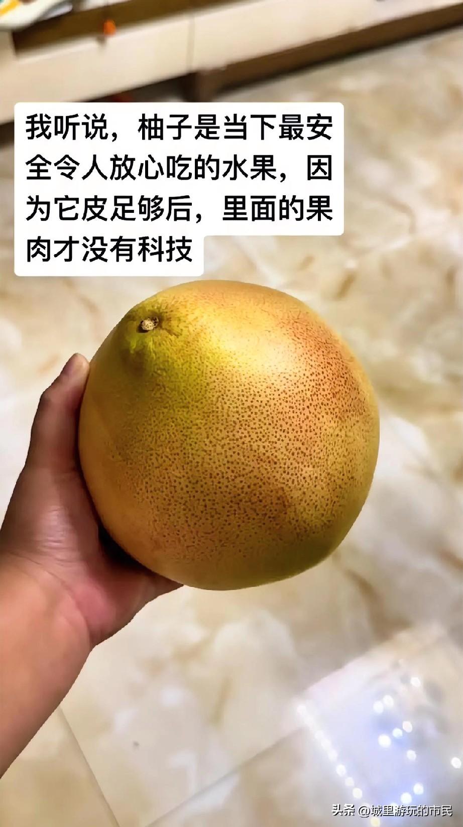 我同学爸爸是批发柚子的，他说柚子很安全没有泡药水每年都给我寄很多，说梨这些就要打