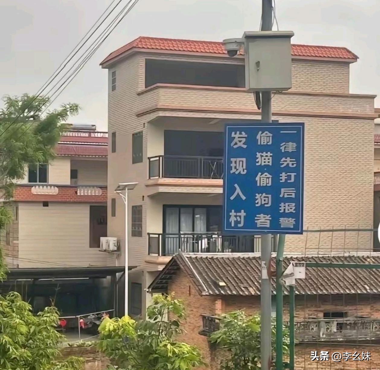 偷狗贼估计看到得撒腿就跑了