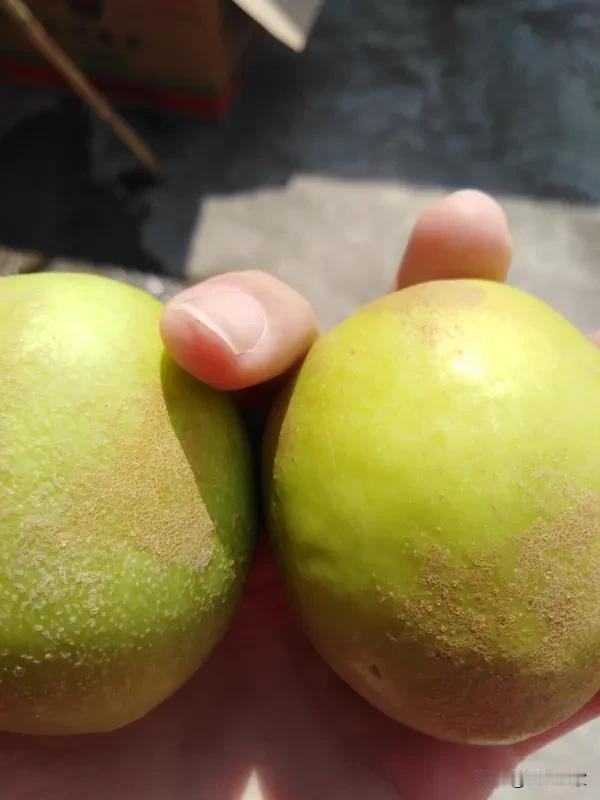 “人不可貌相”这上联简直绝了，短短几个字，却道出了不能以貌取人的深刻道理。我觉得