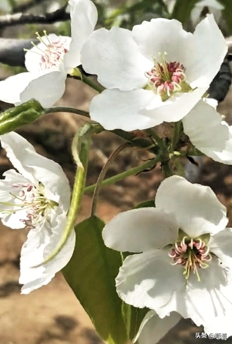 因为我看55岁男的，那是相当的老了，我都想管他叫大爷。
所以同理，男人眼里的55