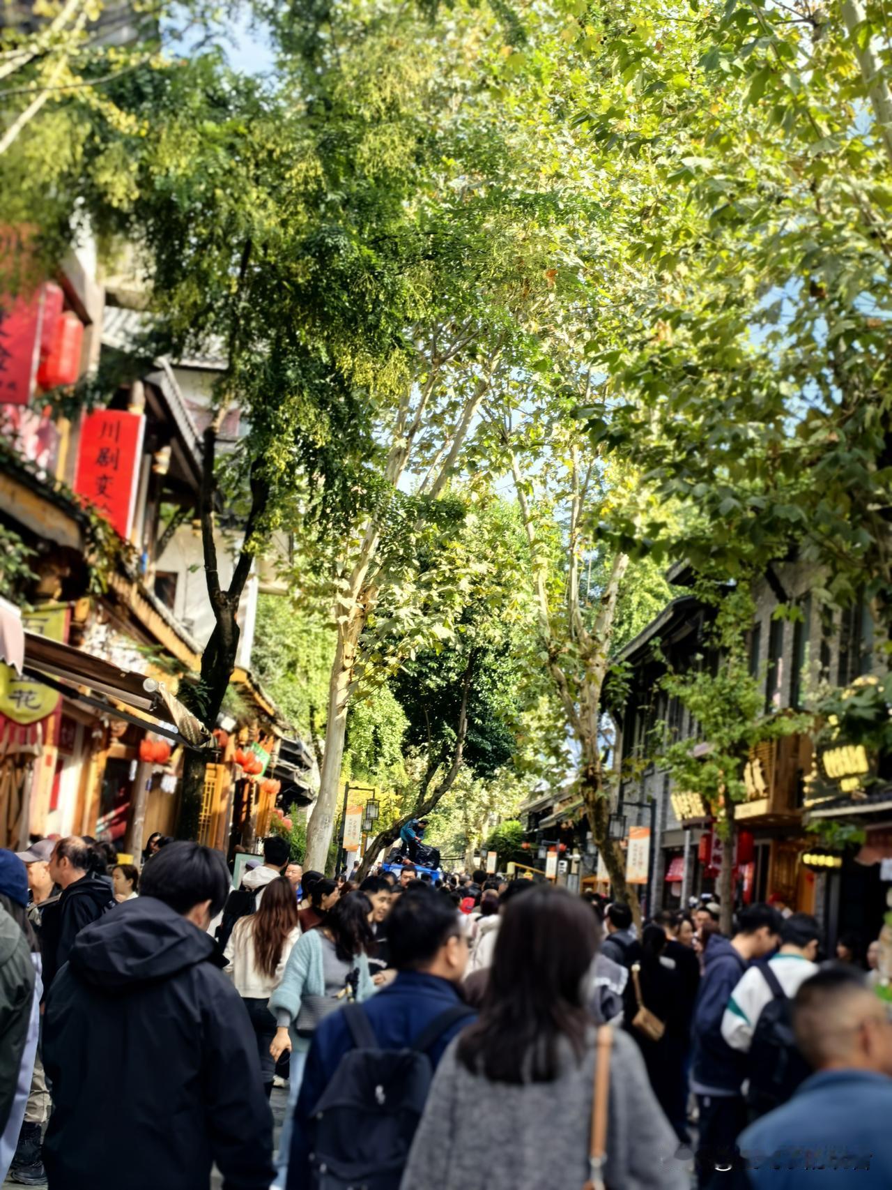 儿说他之前去过的宽窄巷子已经没有什么印象了，
现在十岁了可以加深一下印象了。
好