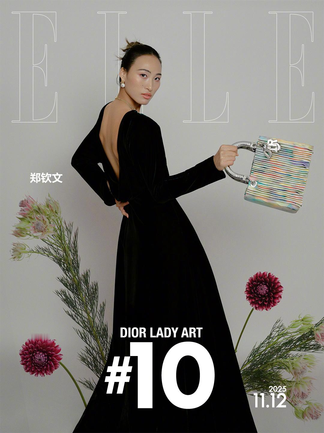 Dior Lady Art 十年艺术跨界沉淀 ，让 Lady Dior 手袋日益