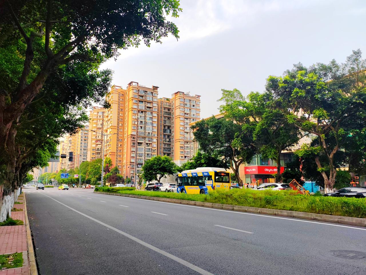 树影漫过柏油路，城市的日常在光影里慢慢铺展开来，连风都带着松弛的节奏。