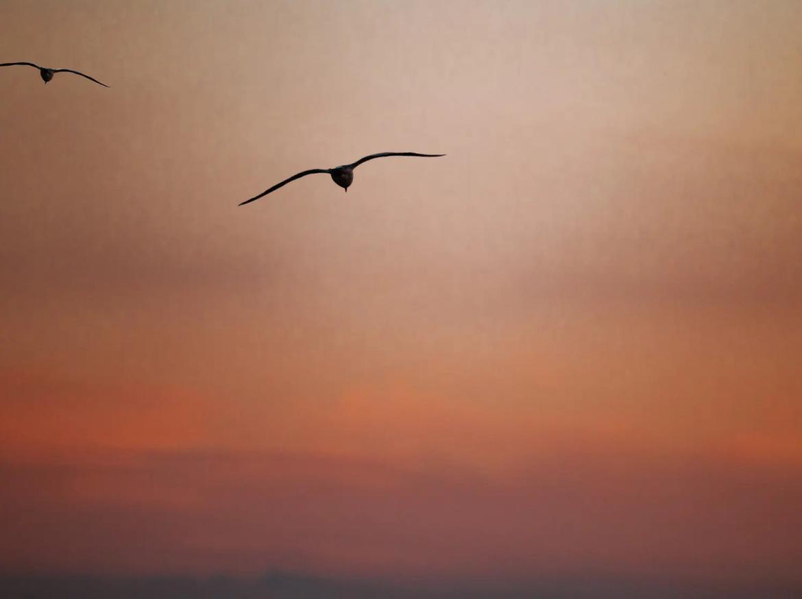 快来看看我新换的主页背景吧