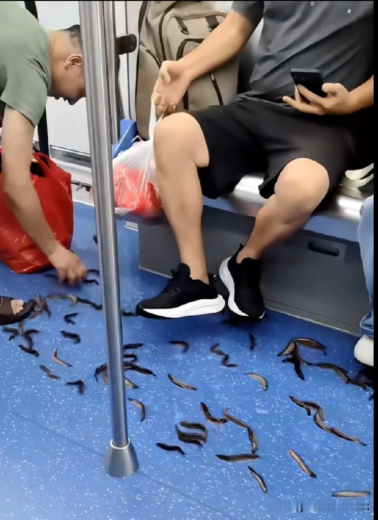 地铁上直接变成了抓泥鳅的“战场”！大叔装泥鳅的袋子没扎紧，一车厢都是滑溜溜的泥鳅