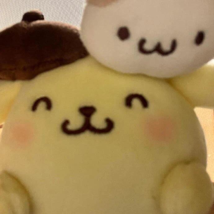 𝖯𝗈𝗆𝗉𝗈𝗆𝗉𝗎𝗋𝗂𝗇🍮 