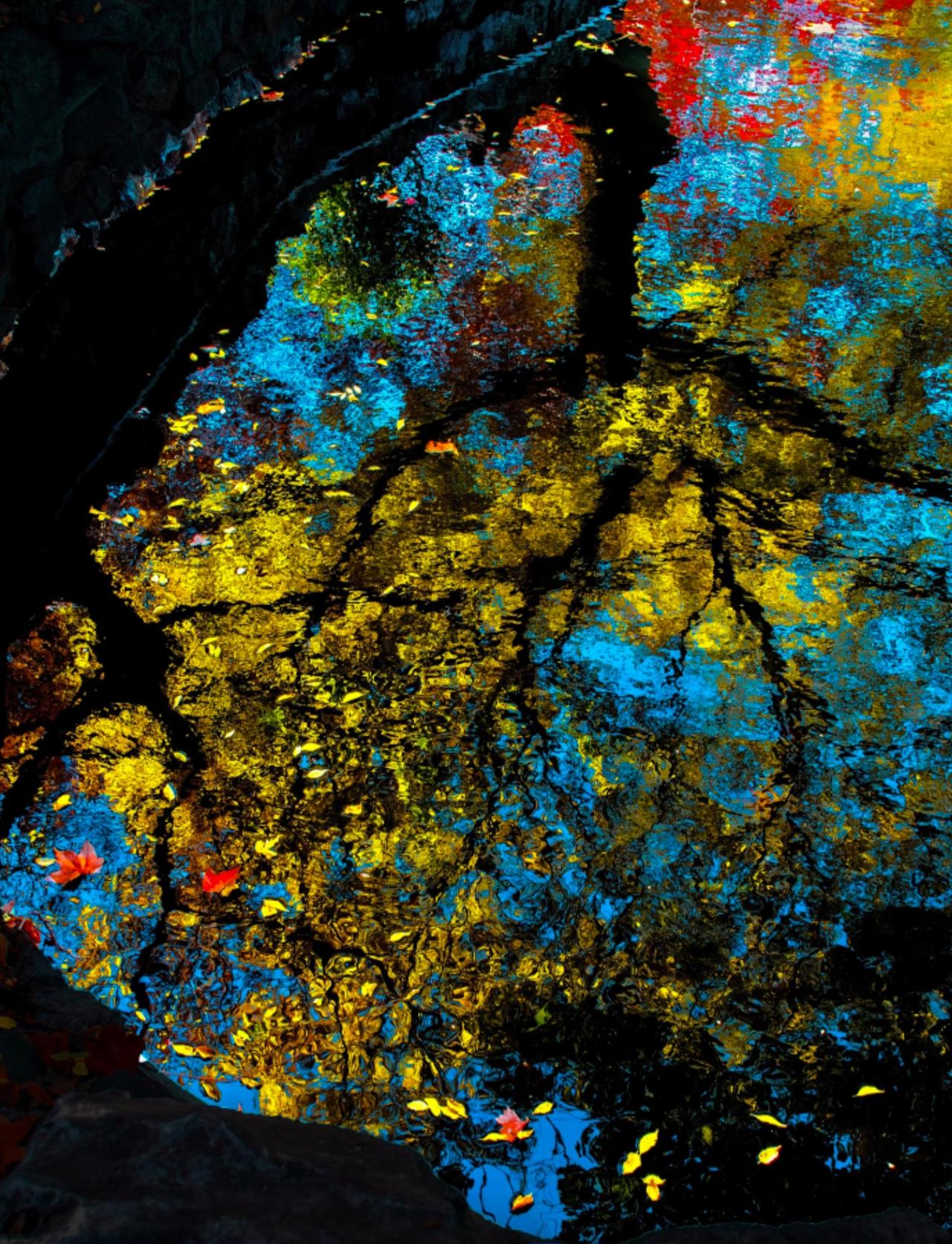 冬日油画版照片来啦！
真的很喜欢江南的冬天
随便找个旁边有树的小湖
便能拍出油画