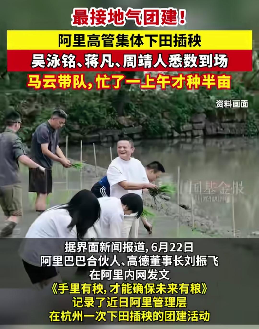 难怪最近都没看到马云了