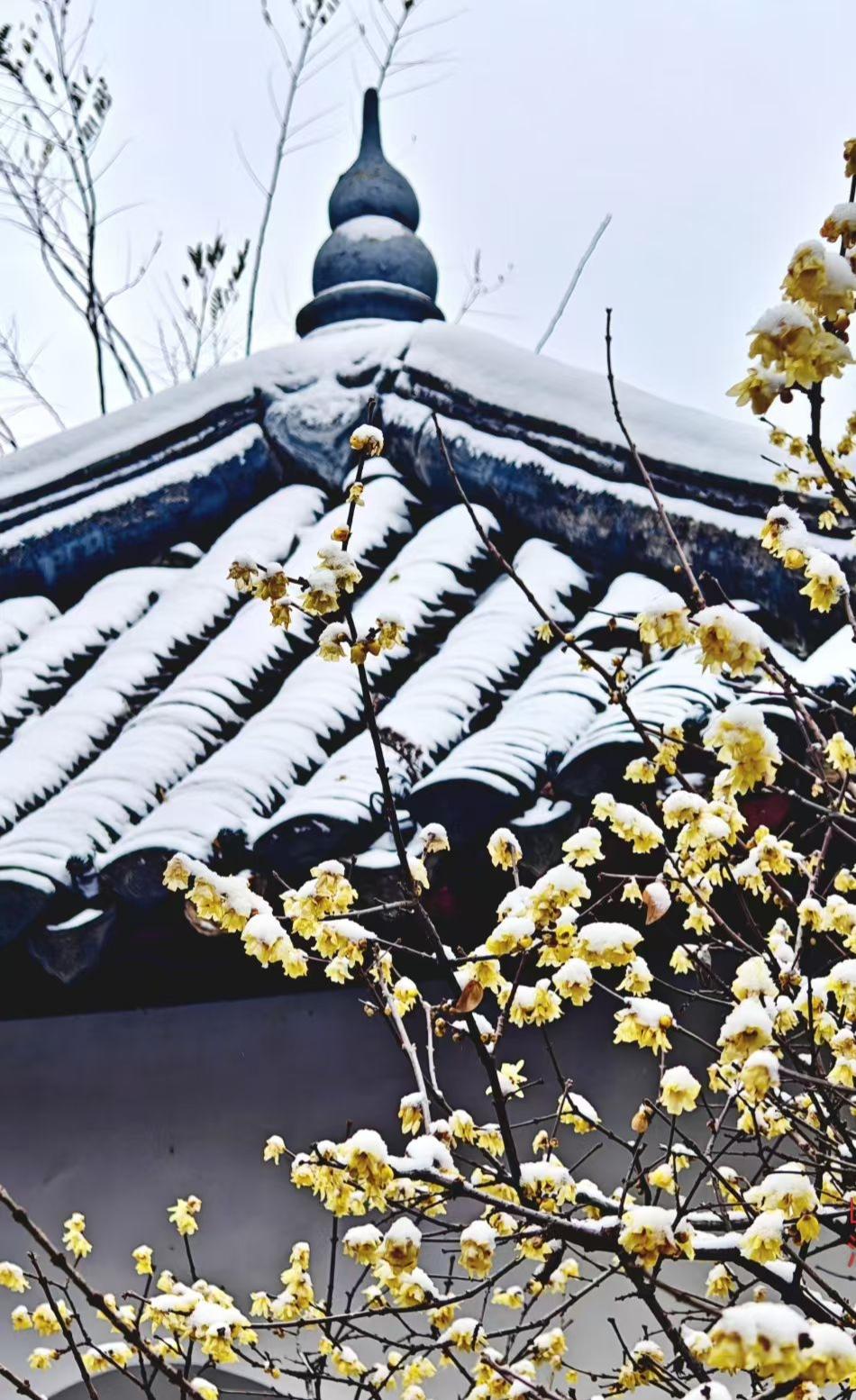 我发现现在好多人打交道，都爱搞“弯弯绕”：心里有想法憋着不说，指望别人猜；有意见