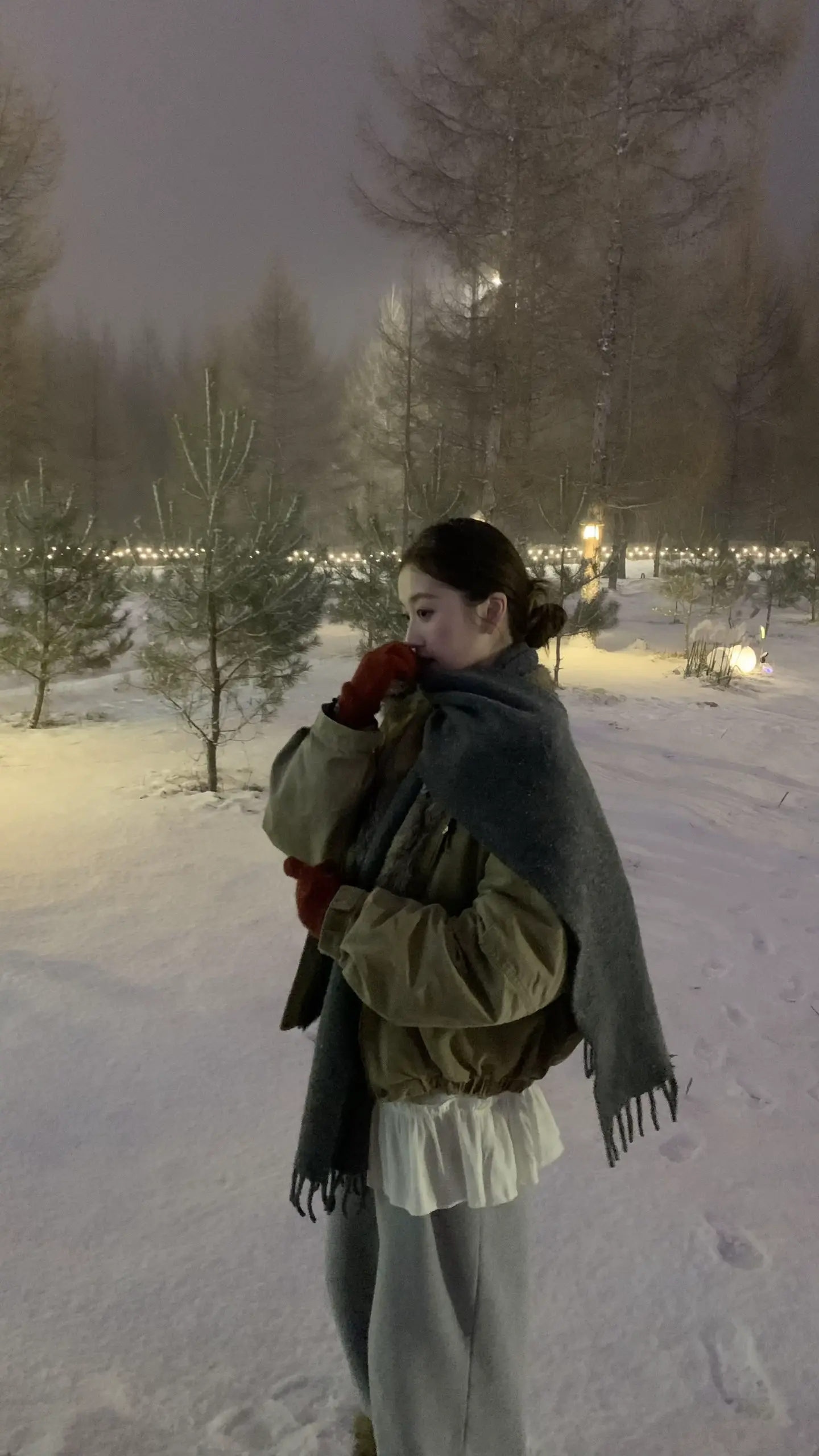 2024.12.25比冬天先来到的是回忆