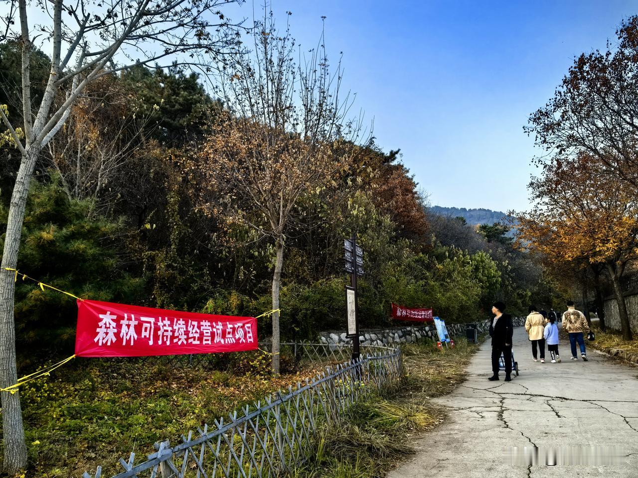 森林可持续经营试点项目——西山国家森林公园