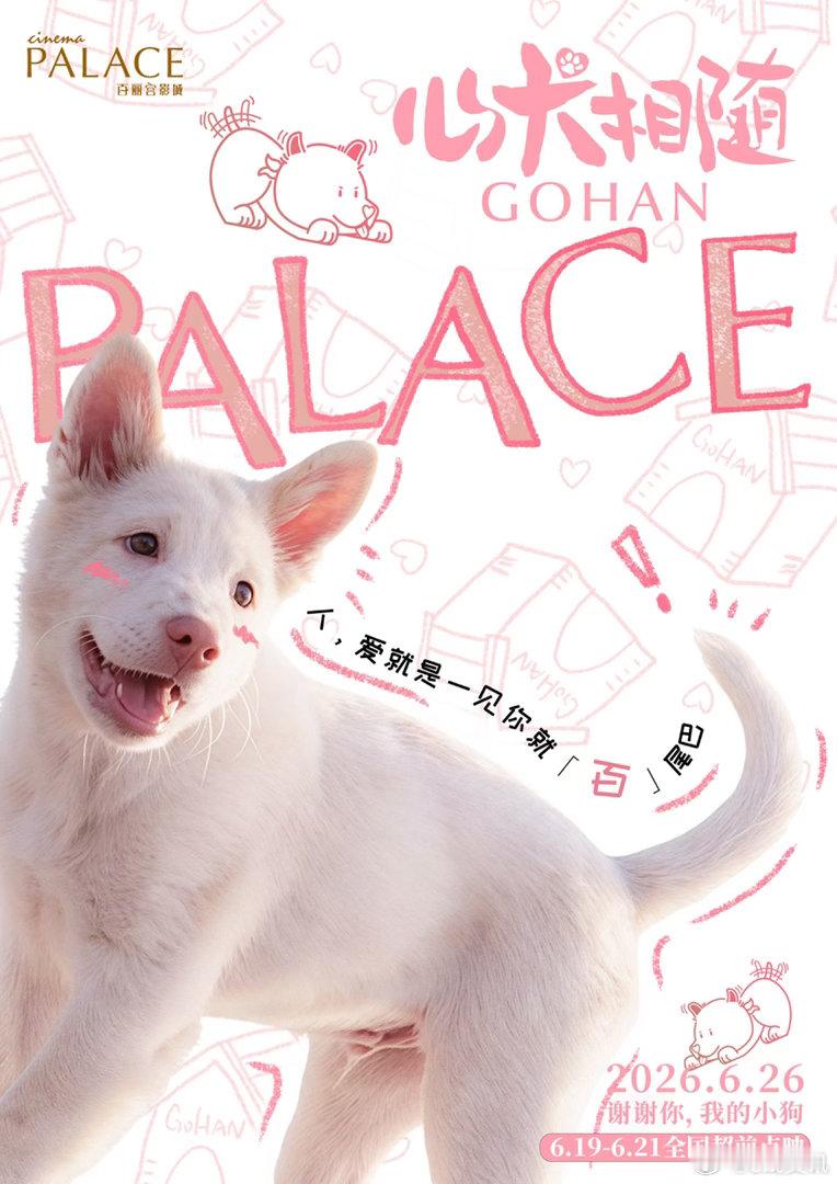电影心犬相随小狗的爱具象化了《姥姥的外孙》主创团队新作电影心犬相随 ，萌犬亮相全