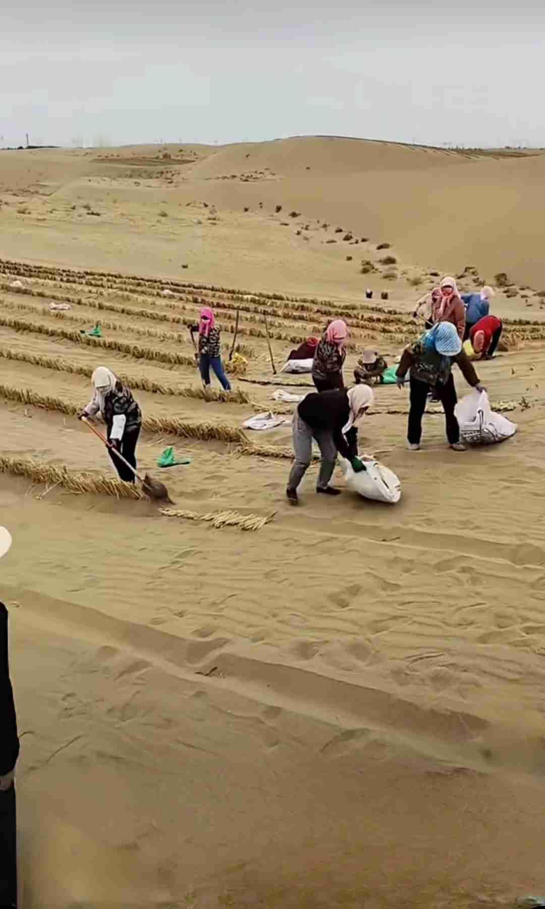 我的今日状态：😁轻松愉快
我这里的天气：☀️晴天
