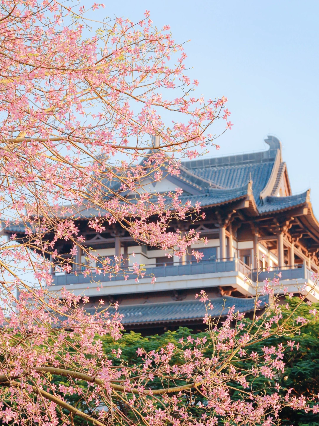 总要来趟花城广州，坐滴滴感受与众不同的秋