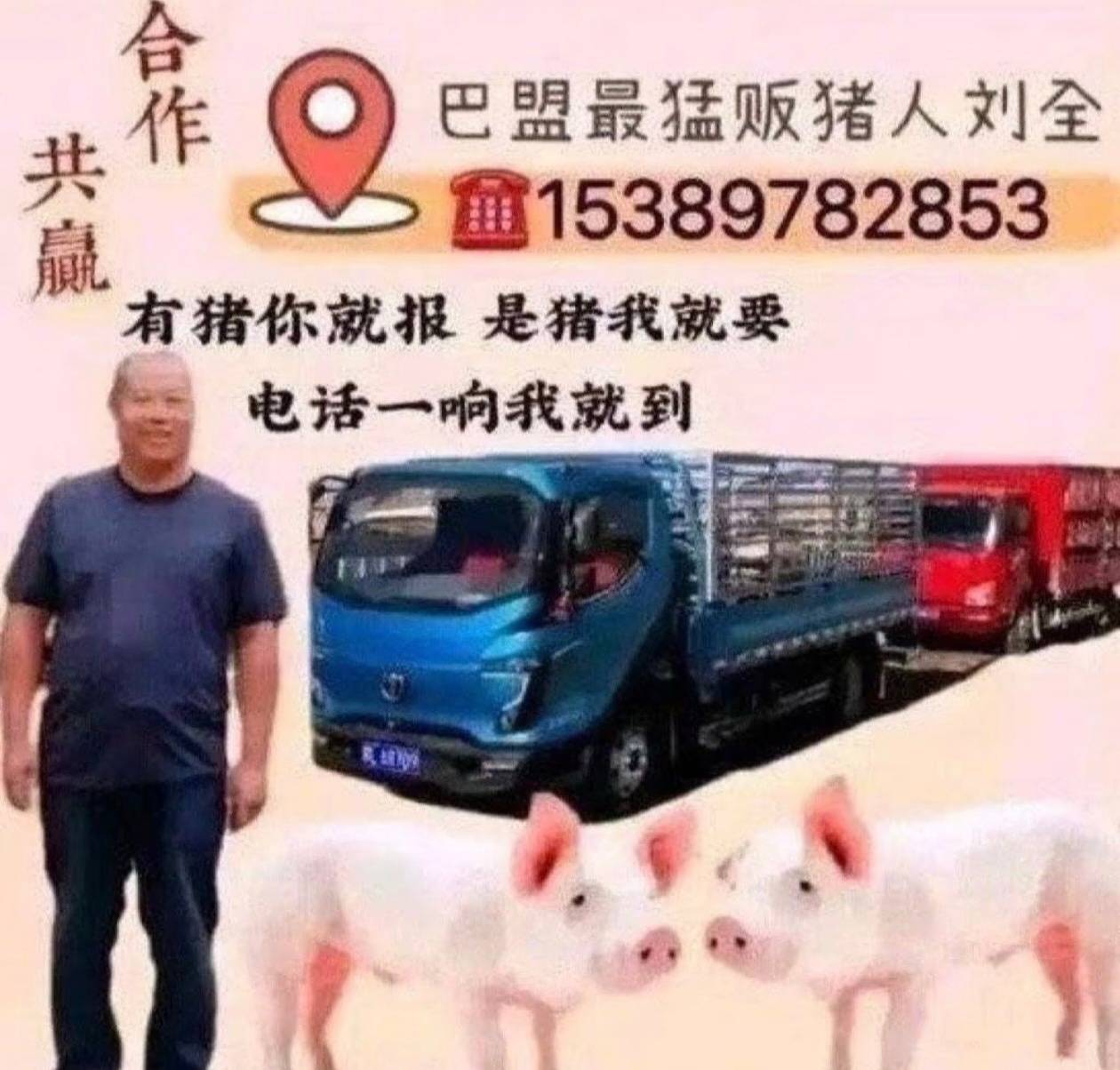 妹子你现在最需要的是这个 