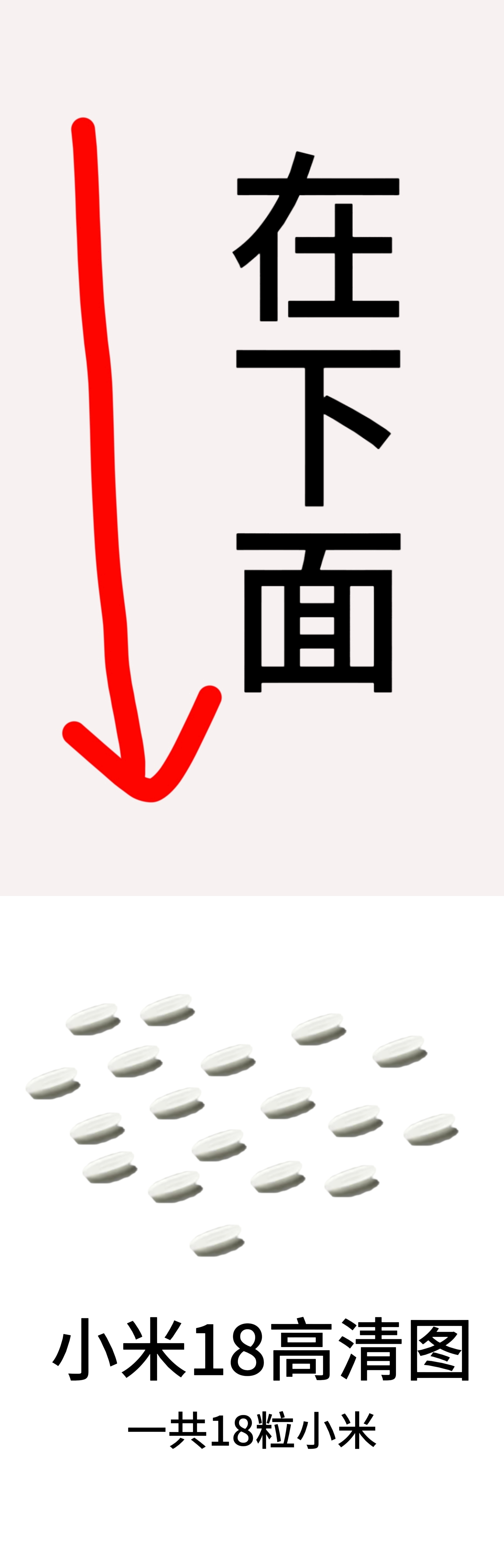 小米18高清图放下面了，应该是全网首张。媒体转载请标明出处。 