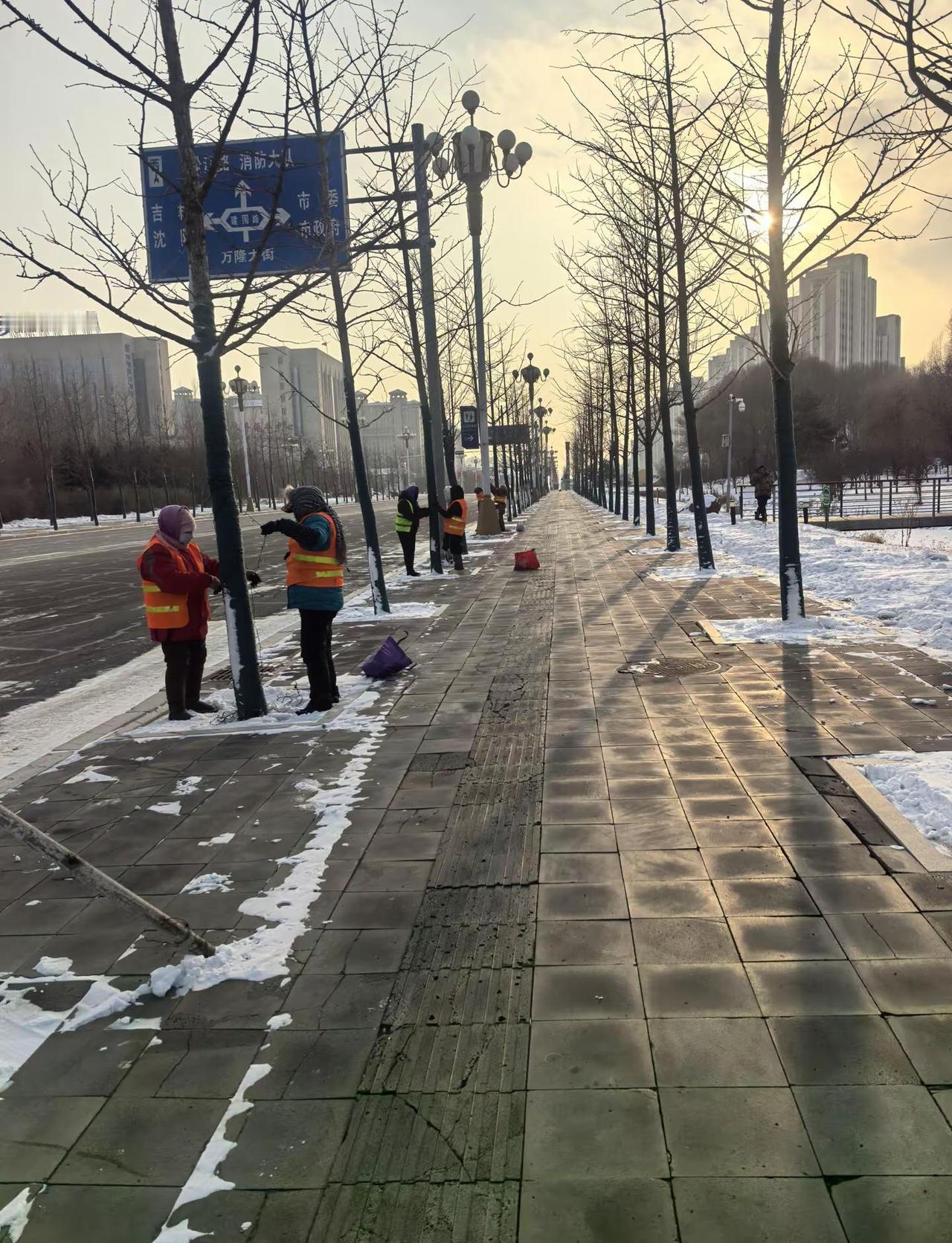 城市亮化参与人员辛苦啦美美哒迎接新年