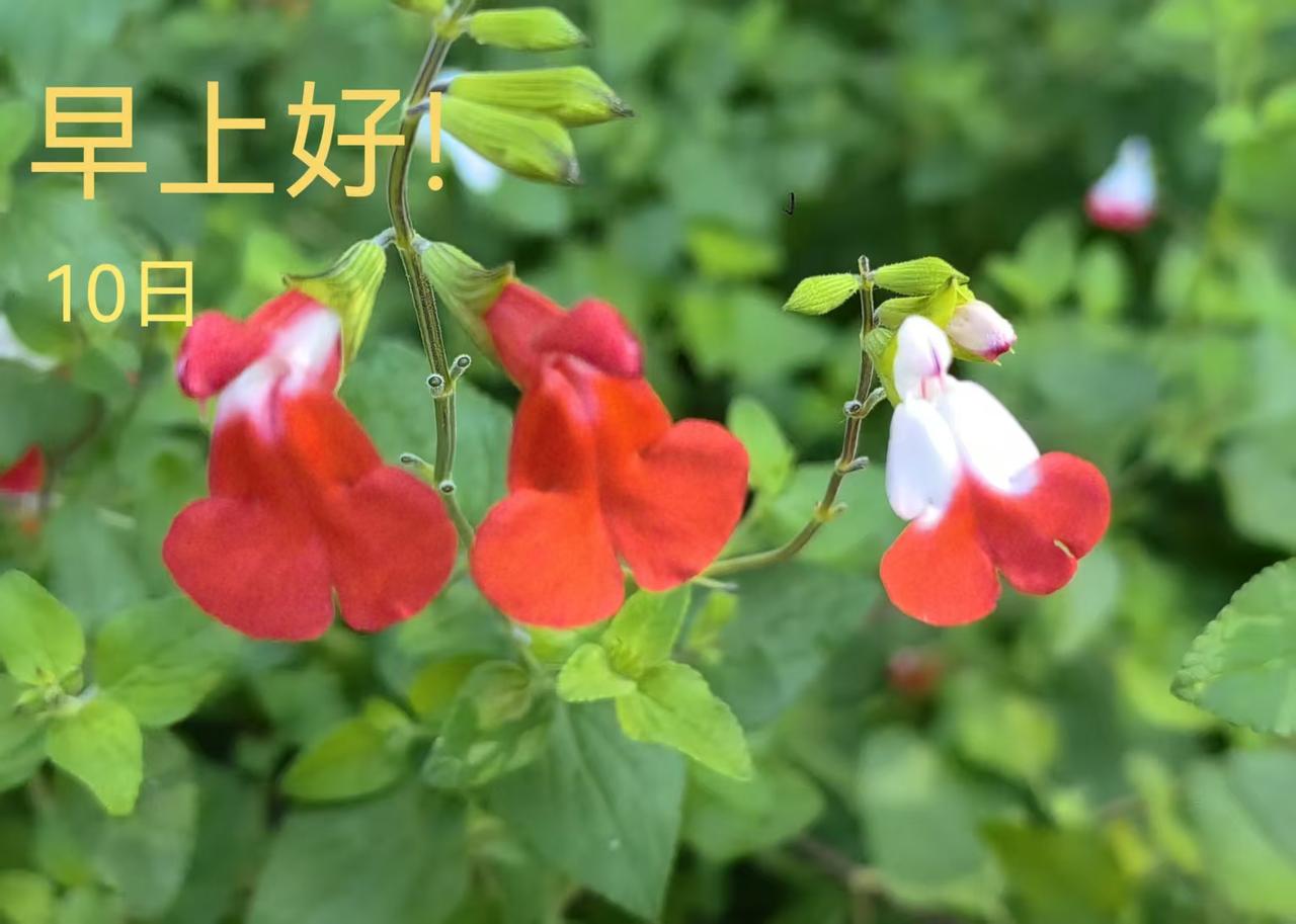 我又看了王老板抱着莉莉的录像！

 丽丽的手却是搭载了，王老板的肩上， 不知道这