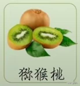 采桑子50·猕猴桃
       金瓯乍剖凝霞片，翠络流丹，玉籽攒盘，疑是麻姑掷