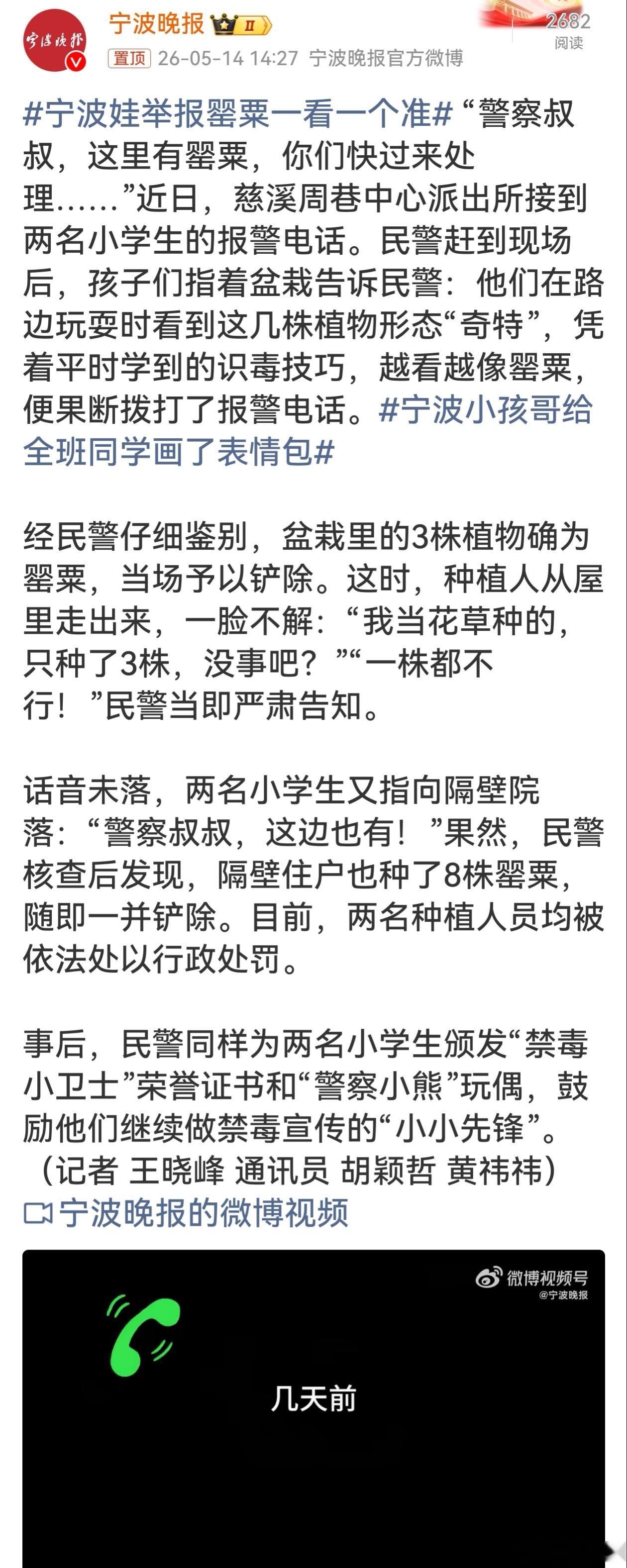 宁波娃举报罂粟一看一个准 宁波两名小学生凭借所学识毒技巧，敏锐发现罂粟并果断报警