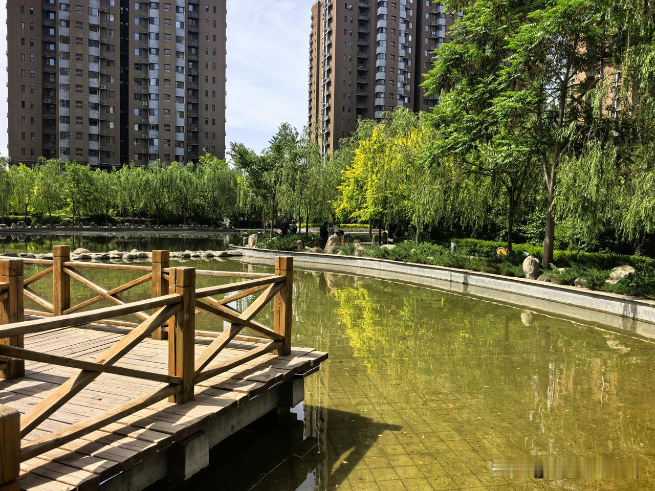 你觉得银川配得上西北宜居第一吗?
湿地绕城间，西北宜居属银川。