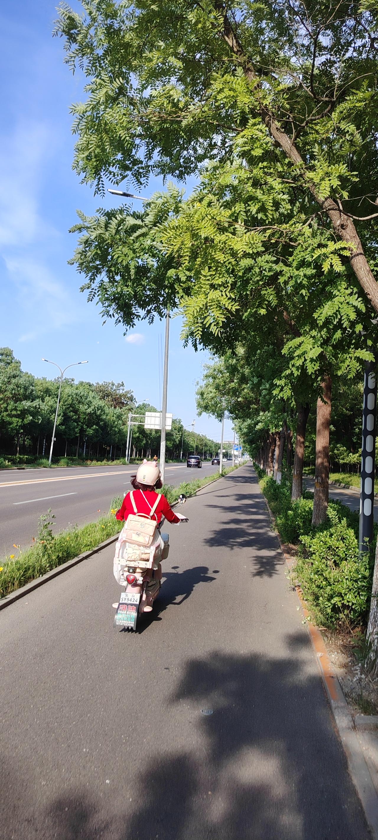 记录我的2026珍惜当下善待过往平安健康顺意