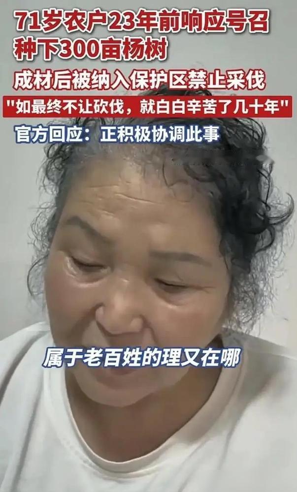 黑龙江齐齐哈尔，一71岁大妈，23年前承包了360亩地，种了3万棵手指粗的杨树，