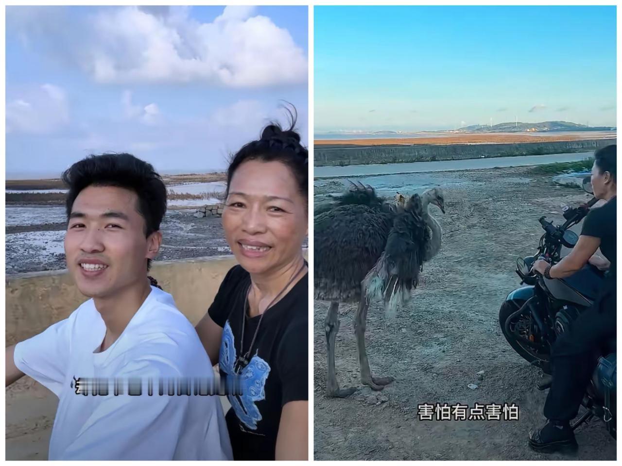 谢浩男一家做的最正确的事情，应该就是带着自己的战友海军挣钱吧。
不过作为莆田人，