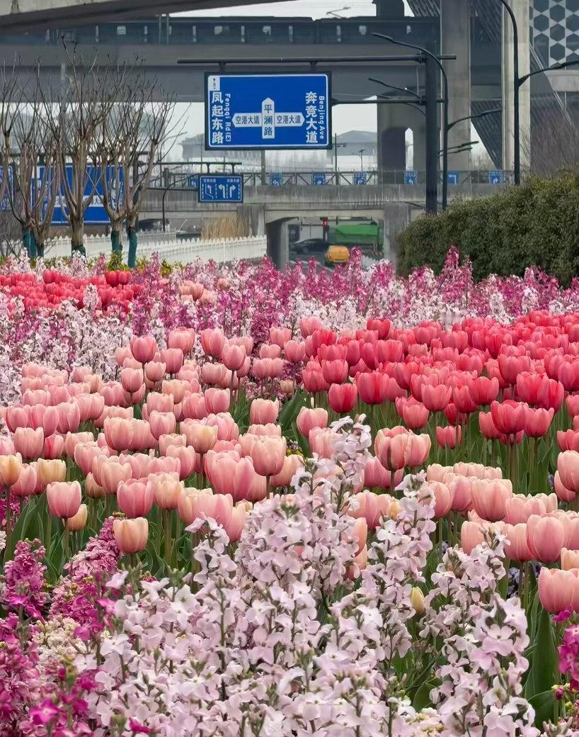 别的城市还在内卷内耗，杭州已经在用心照顾年轻人情绪，云朵装置帮大家解压，城市处处