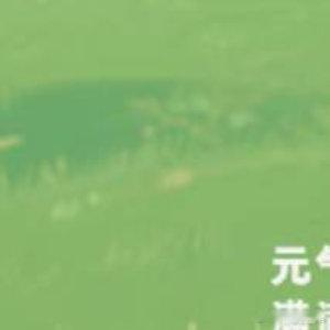 早安[超话]早安 努力的意义🚩：紧握人生方向盘🚗无人代你成长🌱莫寄望永远倚