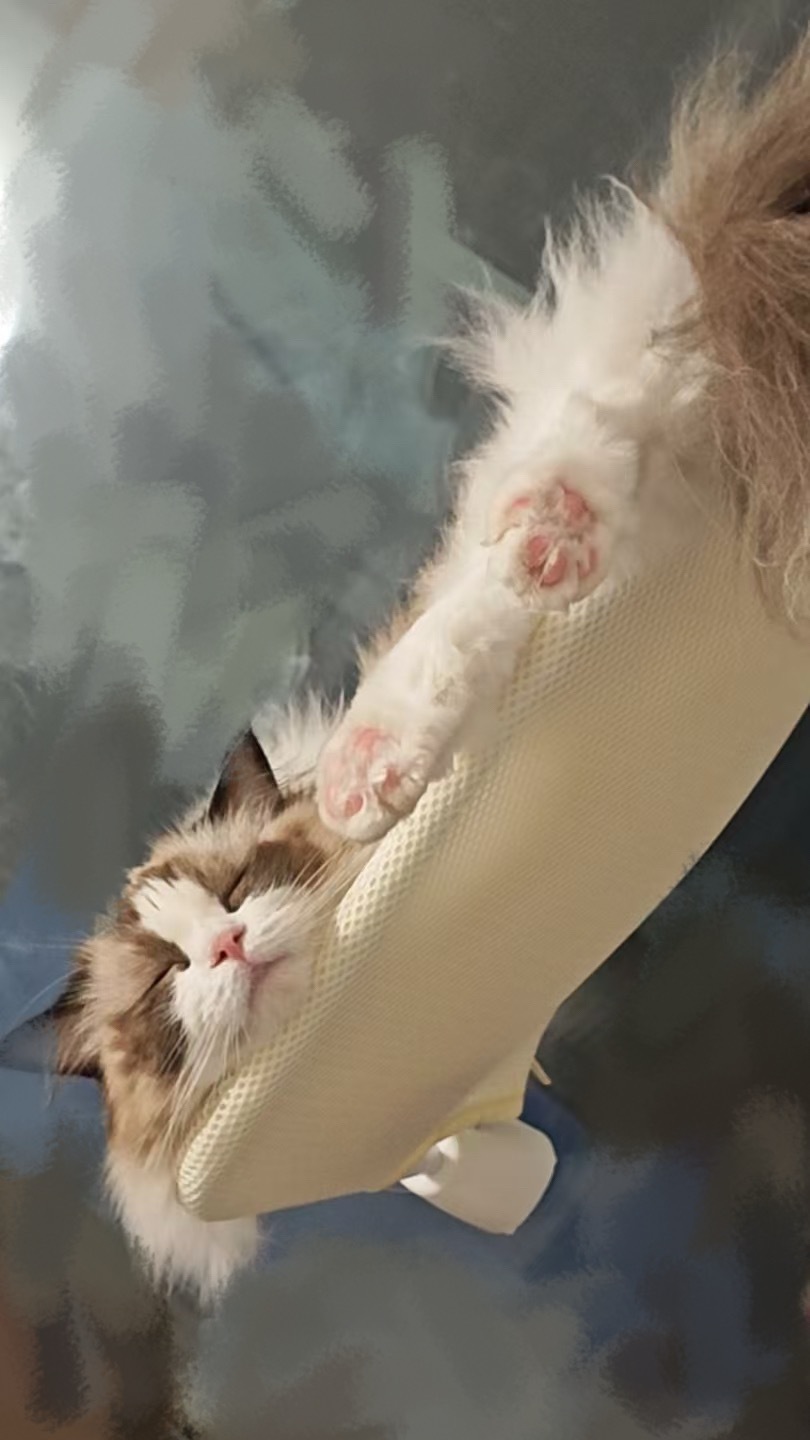 知道吧 