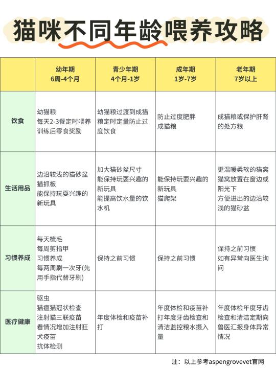 新手养猫进 | 猫咪各年龄段衣食住行攻略