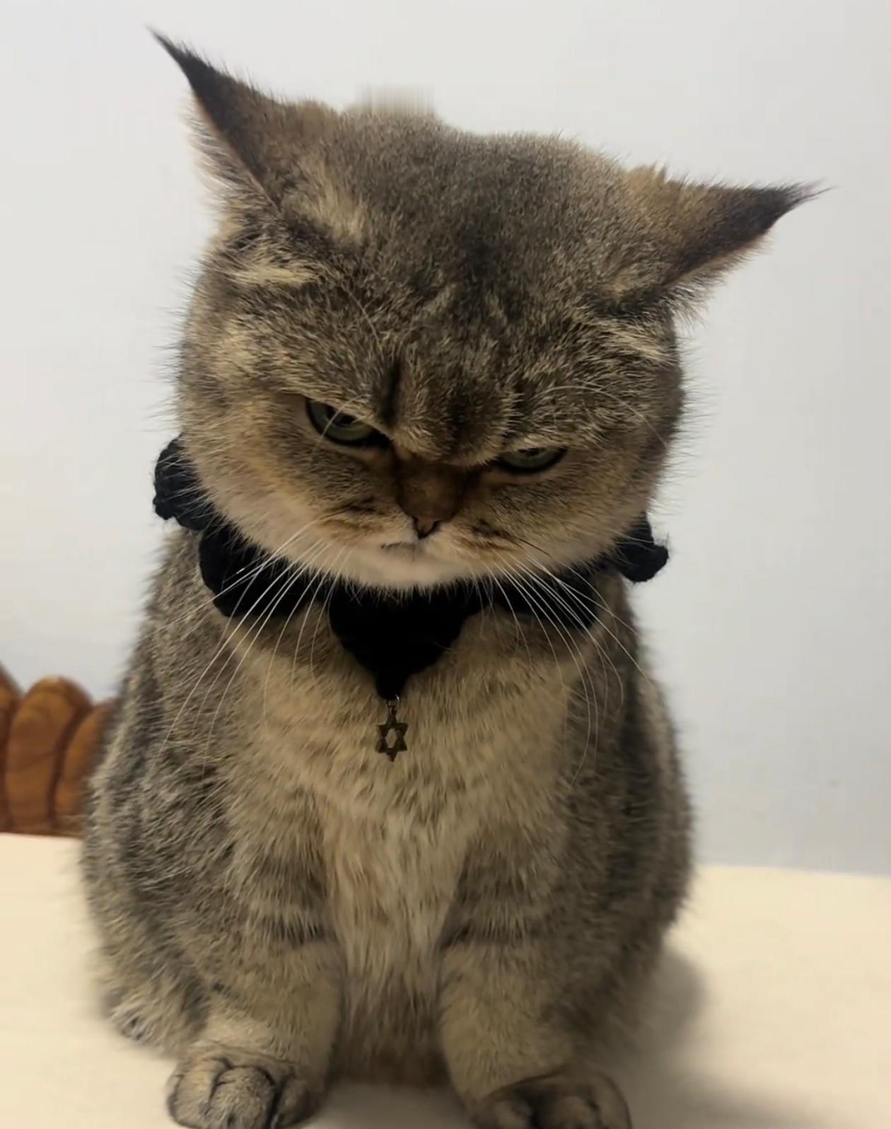 只要我好好放起来的东西必定会找不到…… 