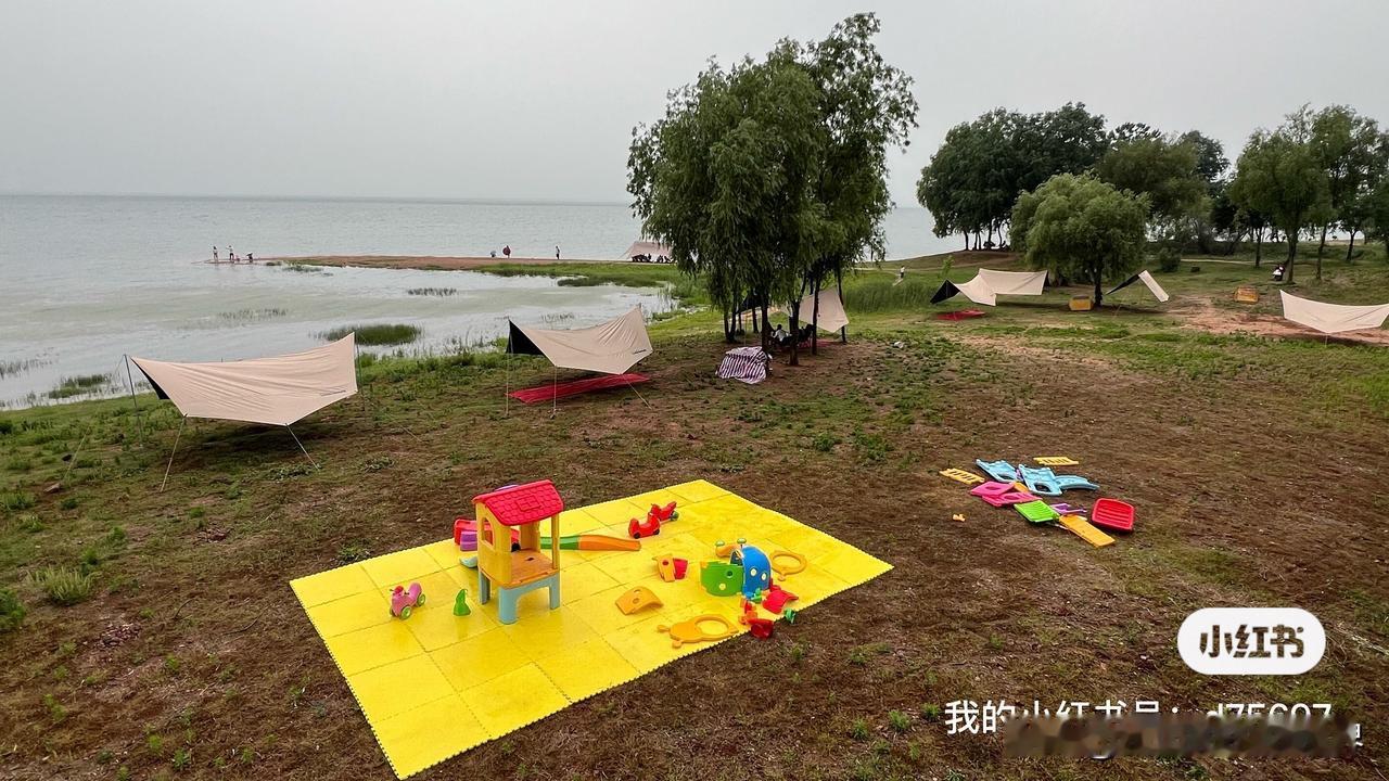 最近科技圈有个小插曲：马斯克在社交平台用一张表情包回应了与雷军的合影，这个看似简