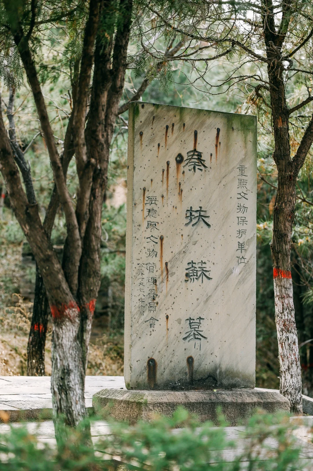 榆林扶苏墓｜秦始皇长子，山有扶苏